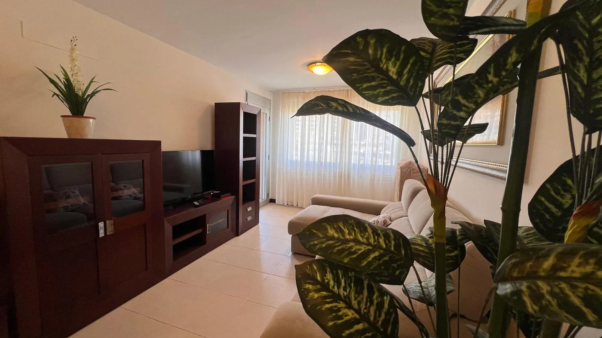 Paradise Sunset 100 Hardrock Apartment Адехе